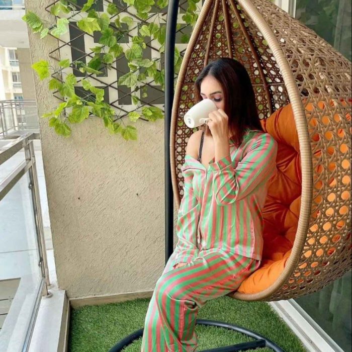 Swing Chair with stand for adults